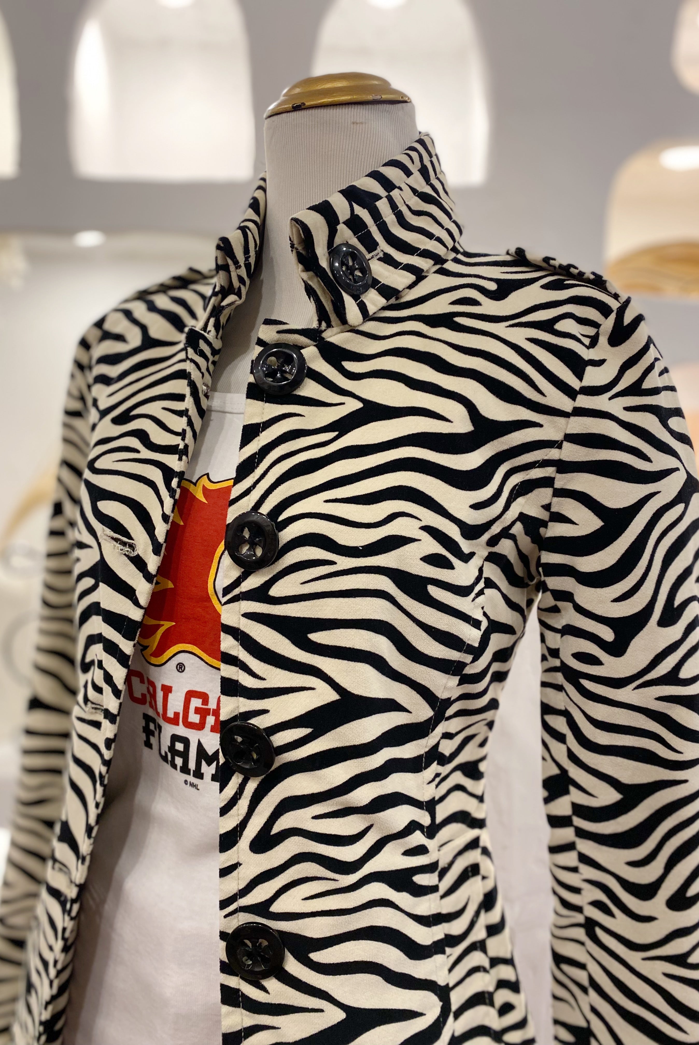 Zebra Jacket