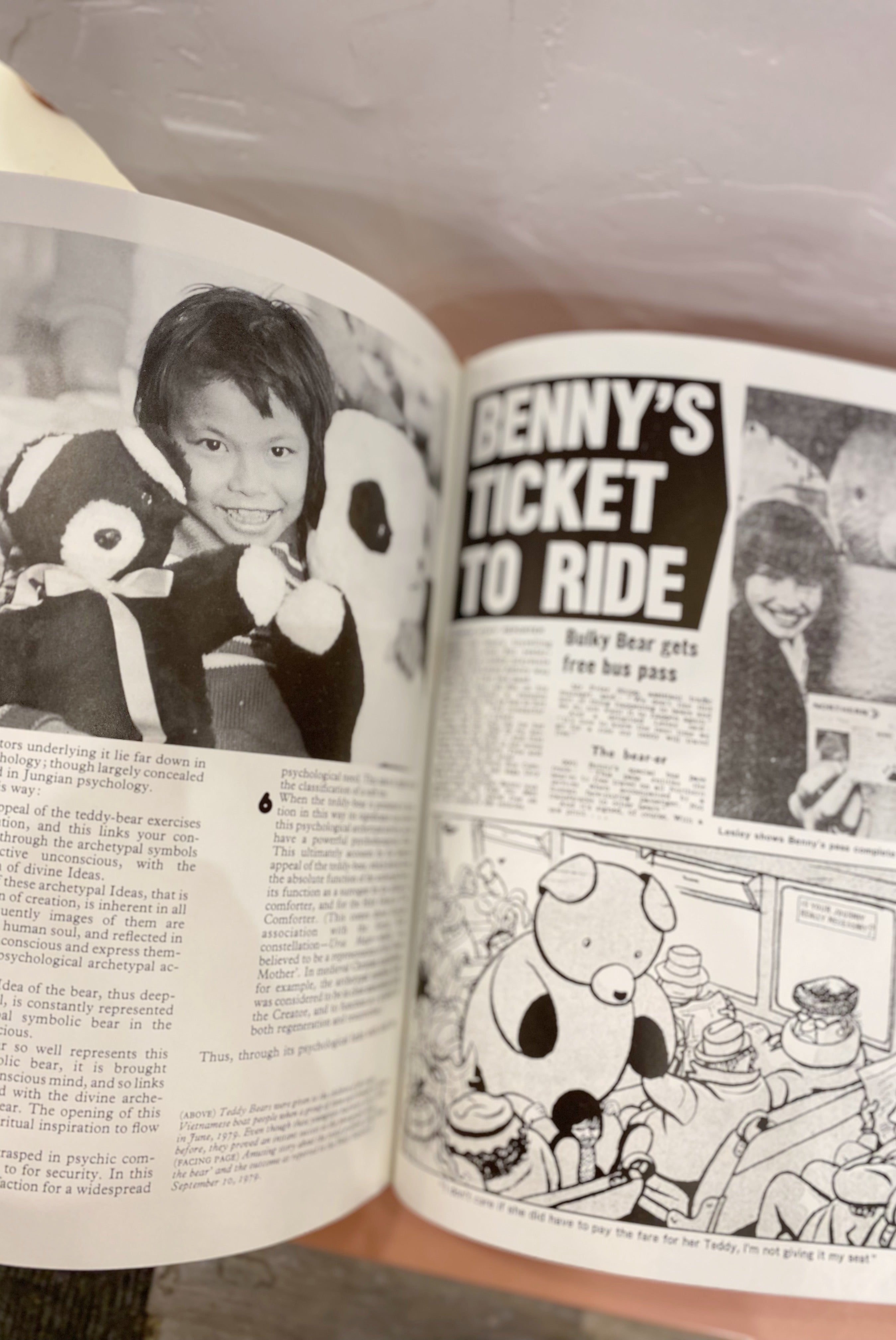 Teddy Bear Book