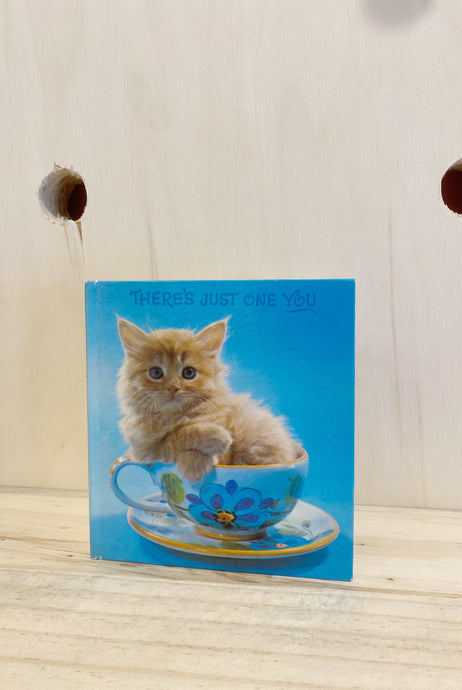 Kitten Gift Book