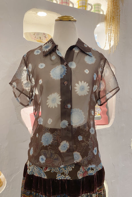Sheer Shirt