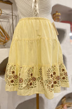 Embroidered Skirt