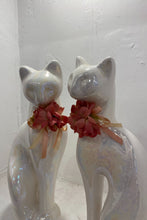 White Lustre Cats