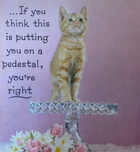 Kitten Gift Book