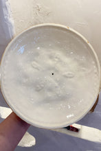Pie Dish