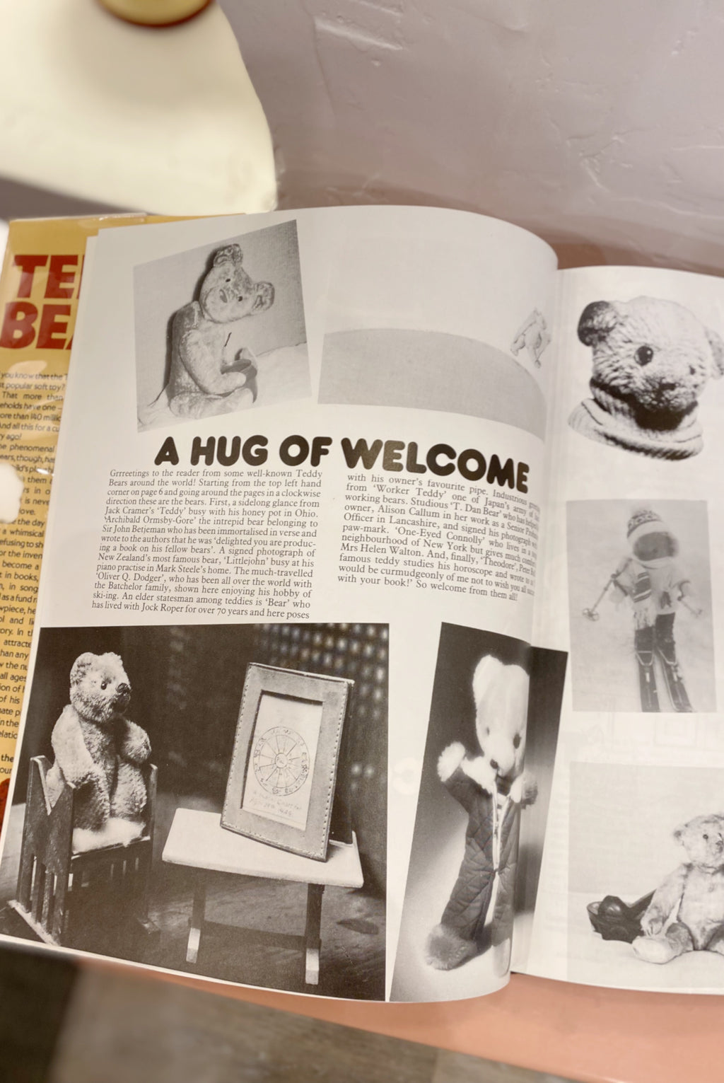 Teddy Bear Book