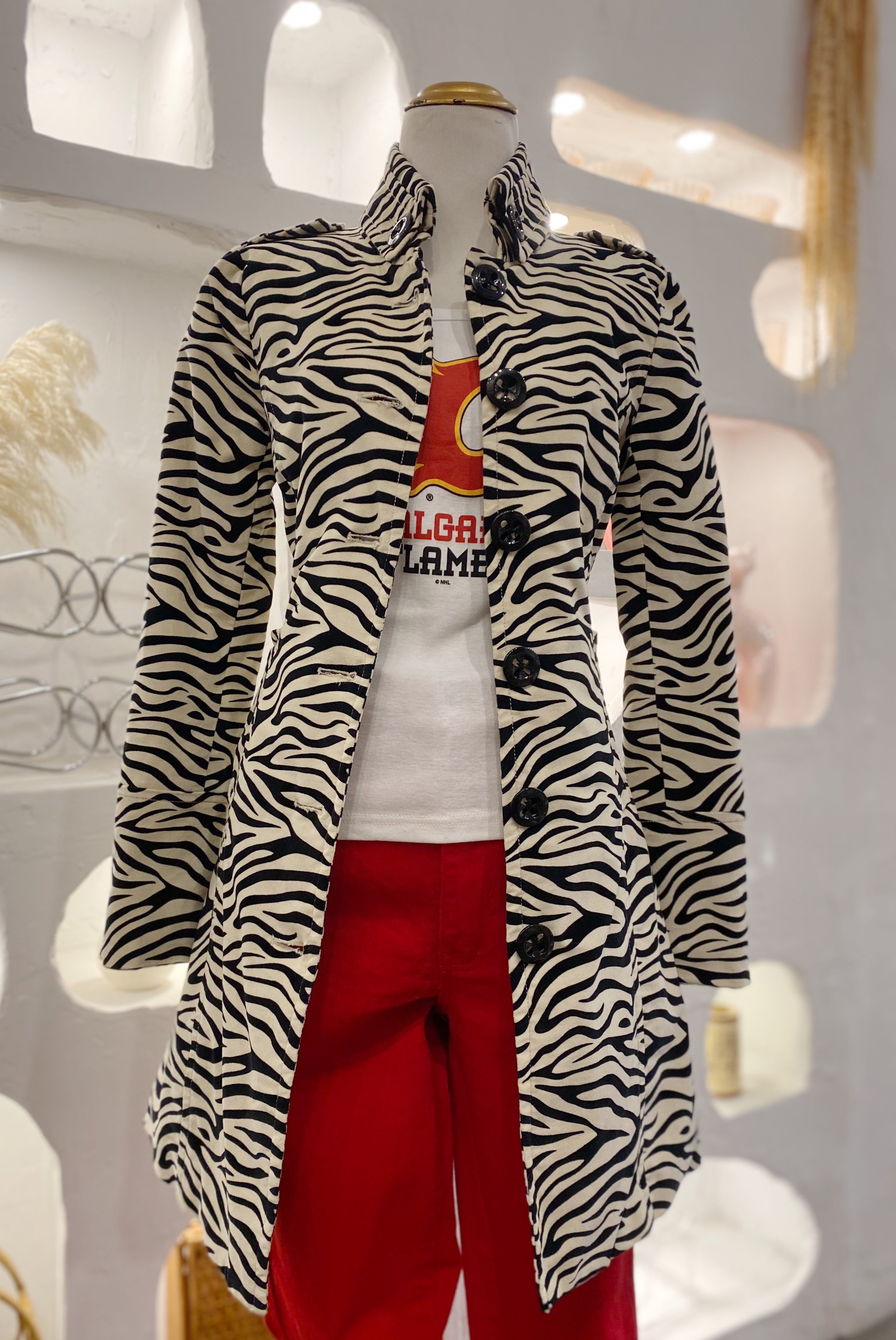 Zebra Jacket