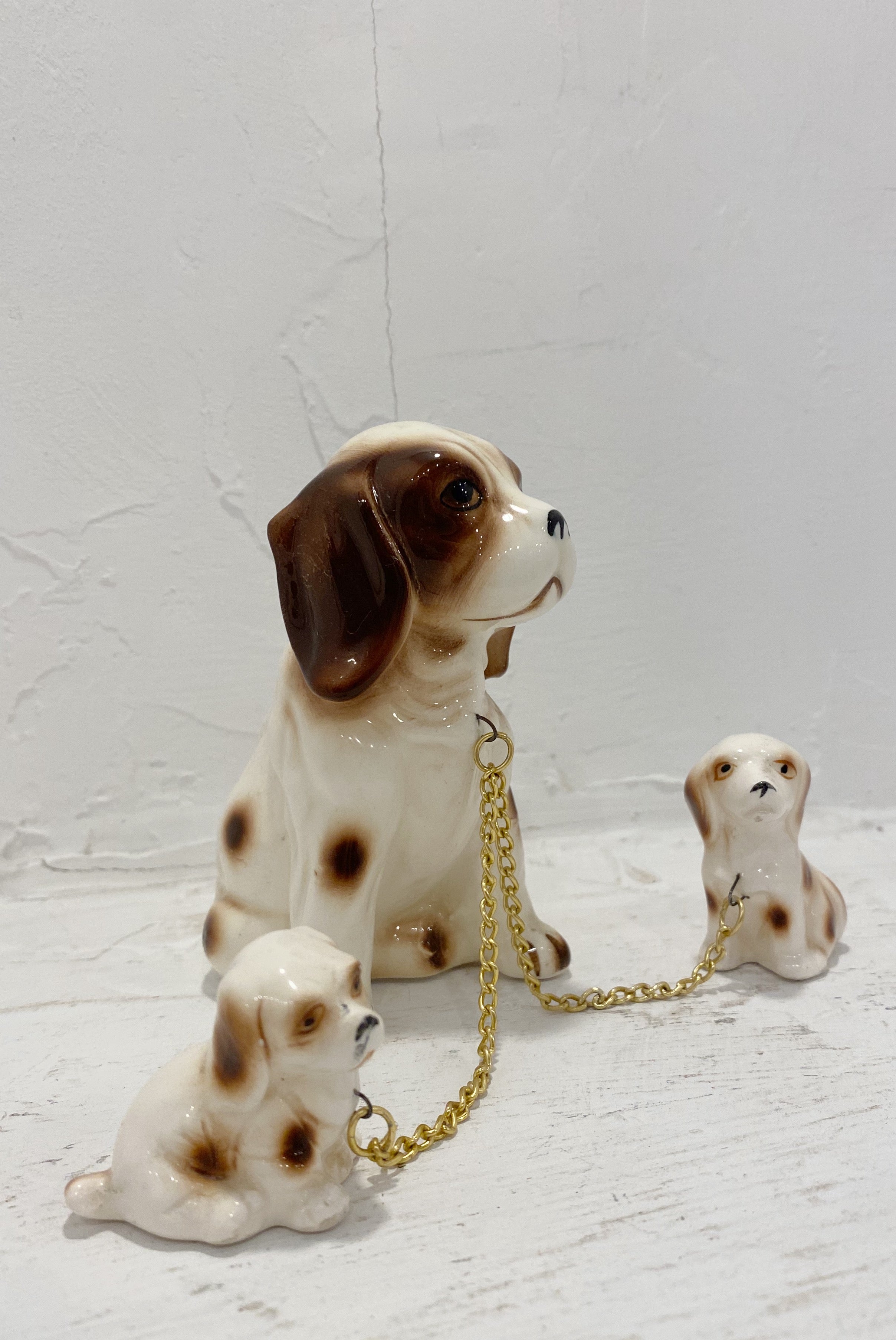 Mid Century Dogs