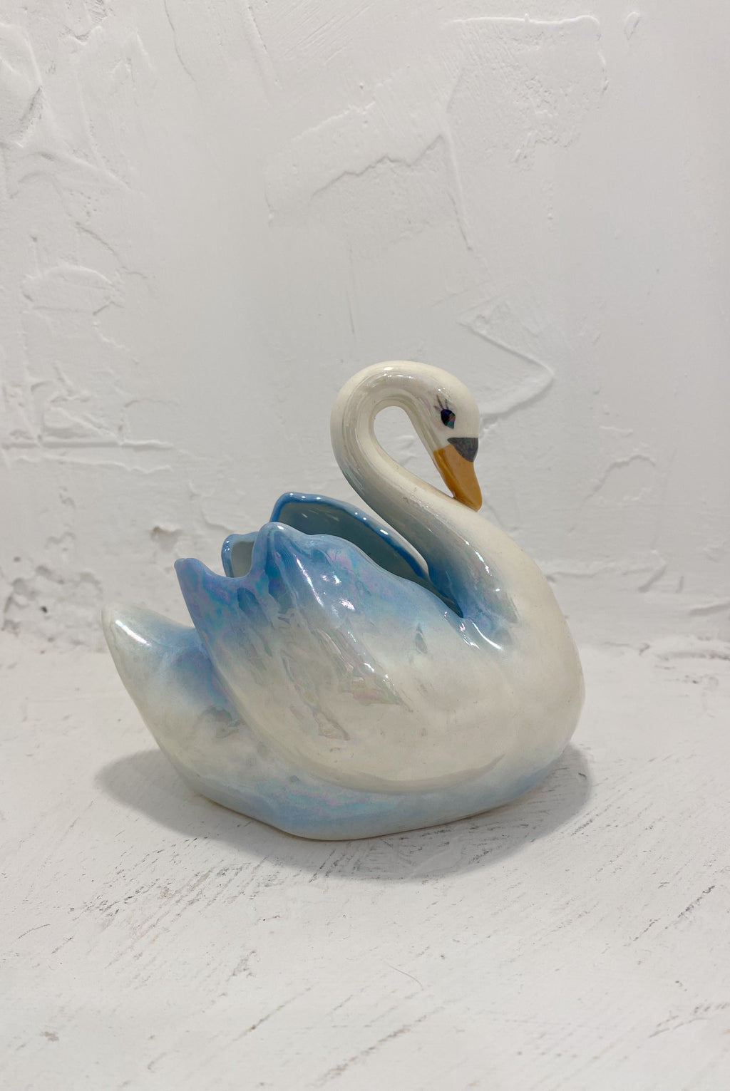 Iridescent Swan