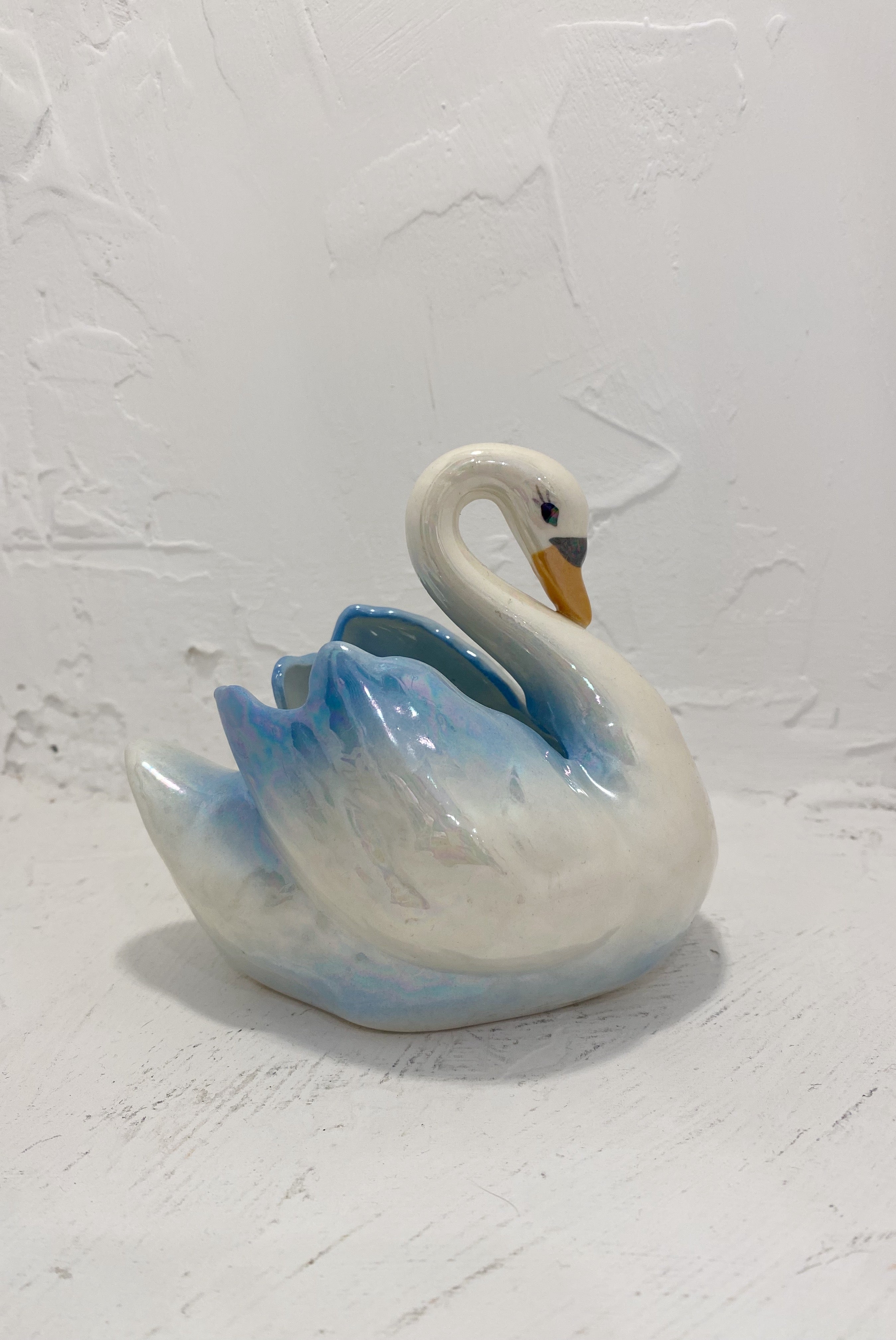 Iridescent Swan
