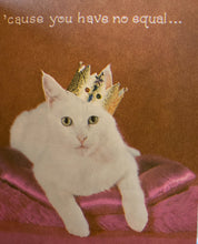 Kitten Gift Book