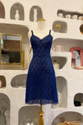 Sheer Navy Blue Lace Slip Dress