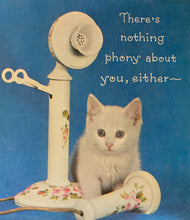 Kitten Gift Book