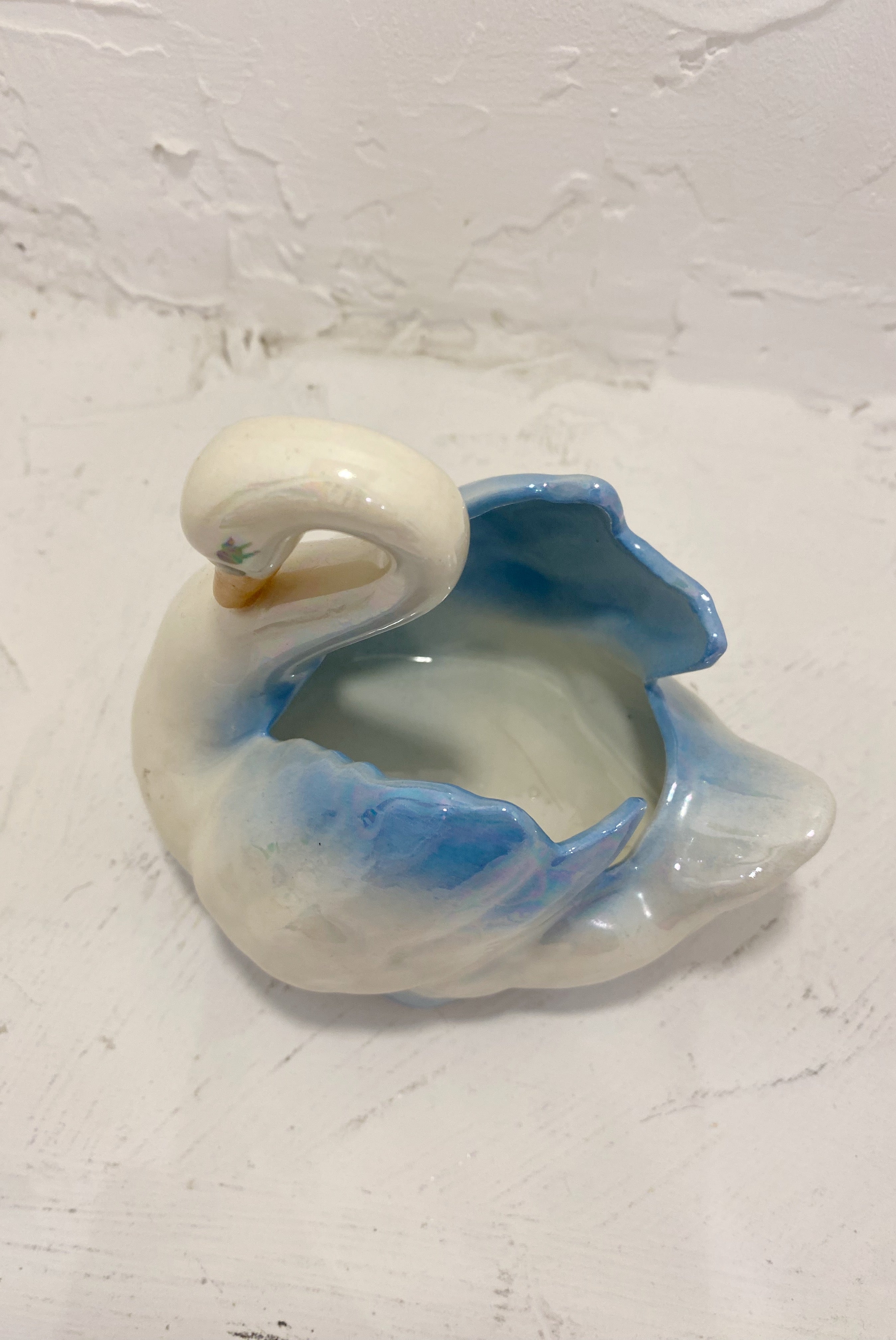 Iridescent Swan