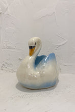 Iridescent Swan