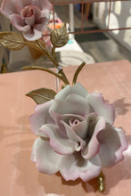 Porcelain Rose