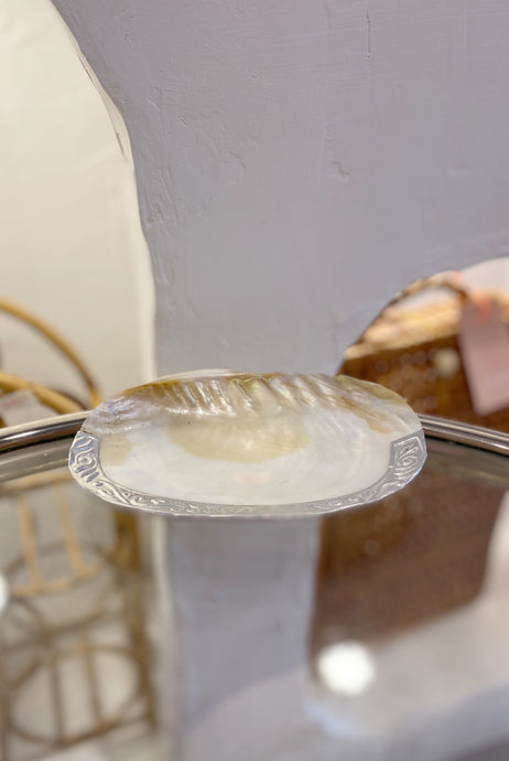 Shell Dish
