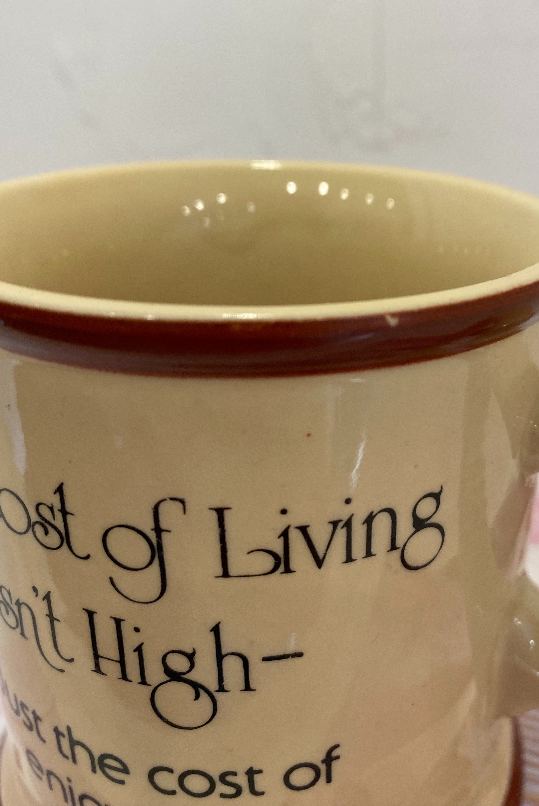 Cost of Living Mug