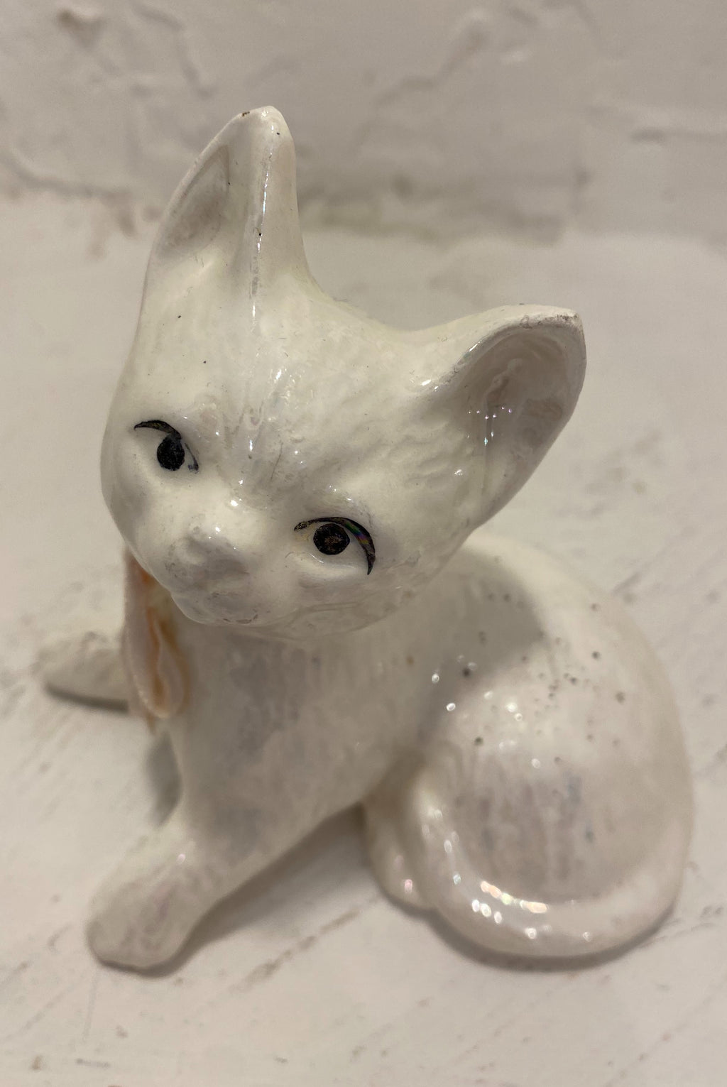 Iridescent Cat