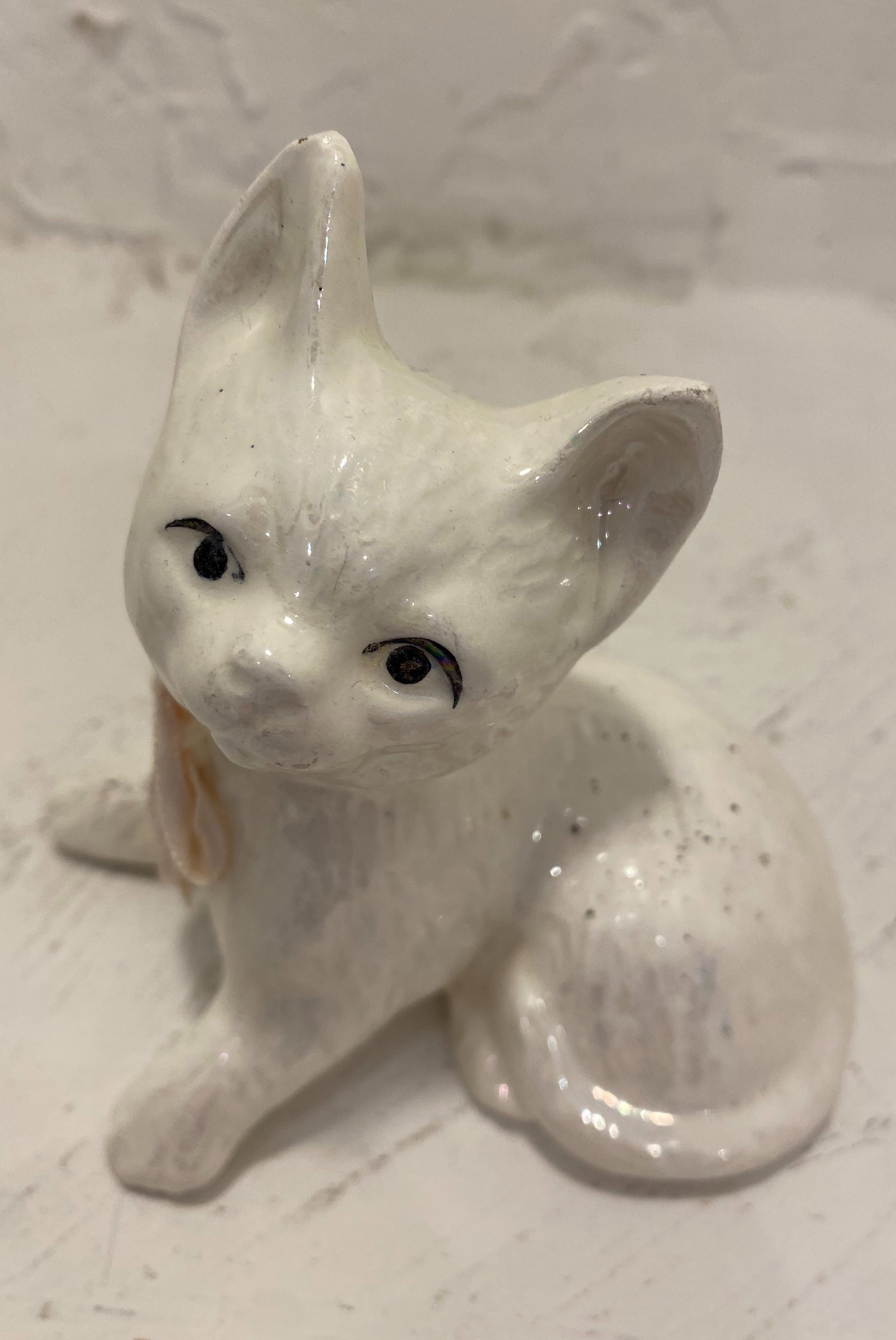 Iridescent Cat