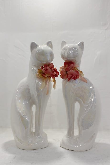 White Lustre Cats