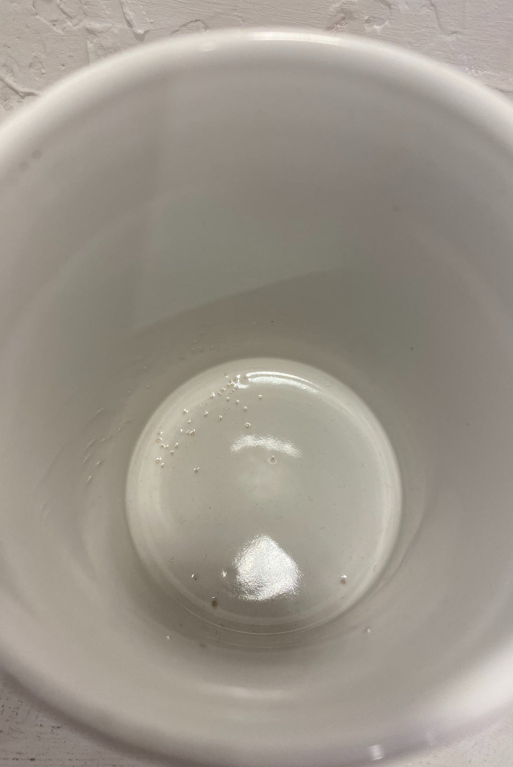 Gemini Mug