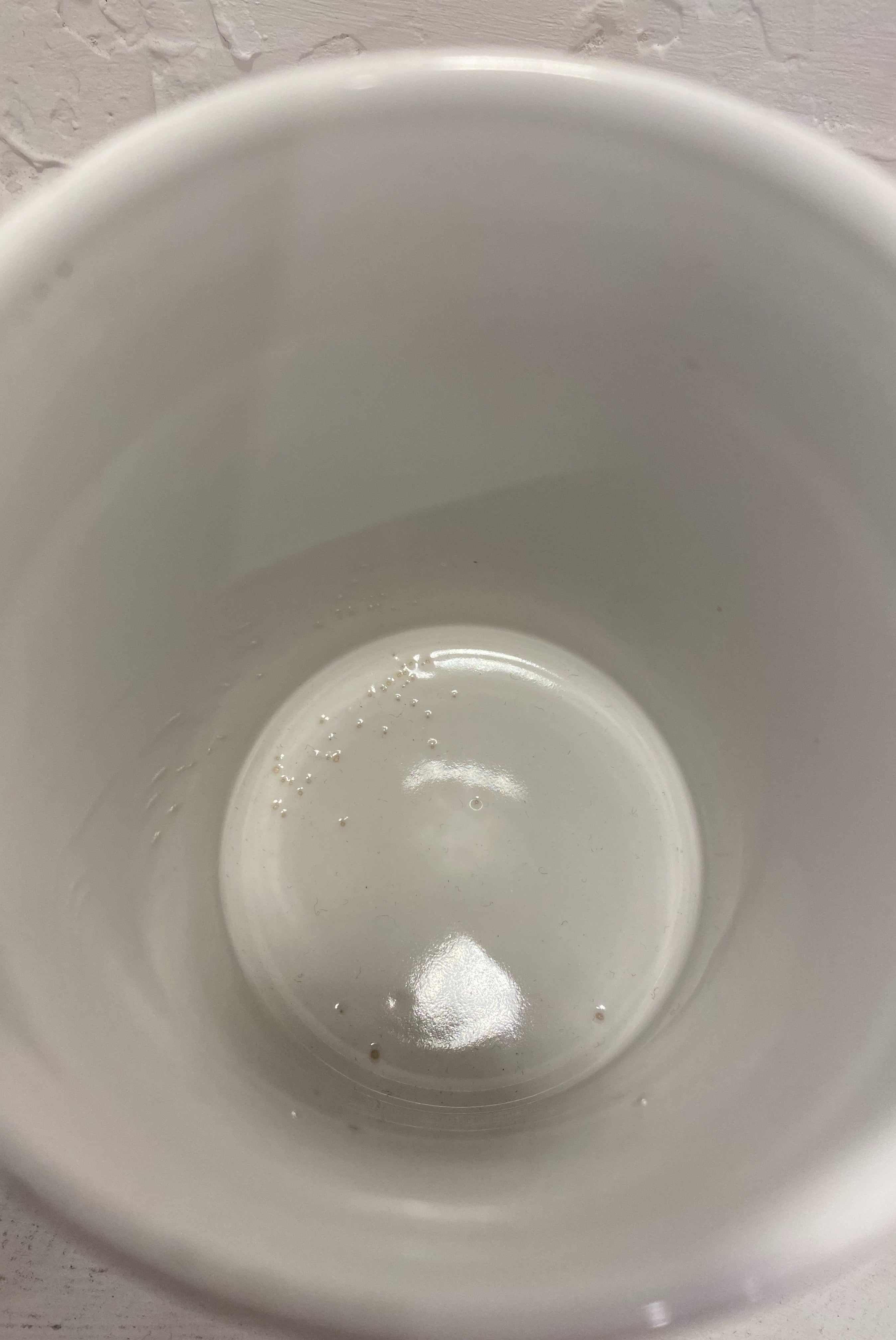 Gemini Mug