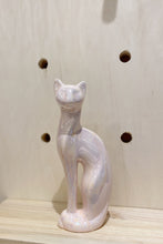 Iridescent Cat