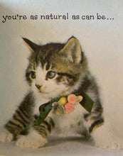 Kitten Gift Book