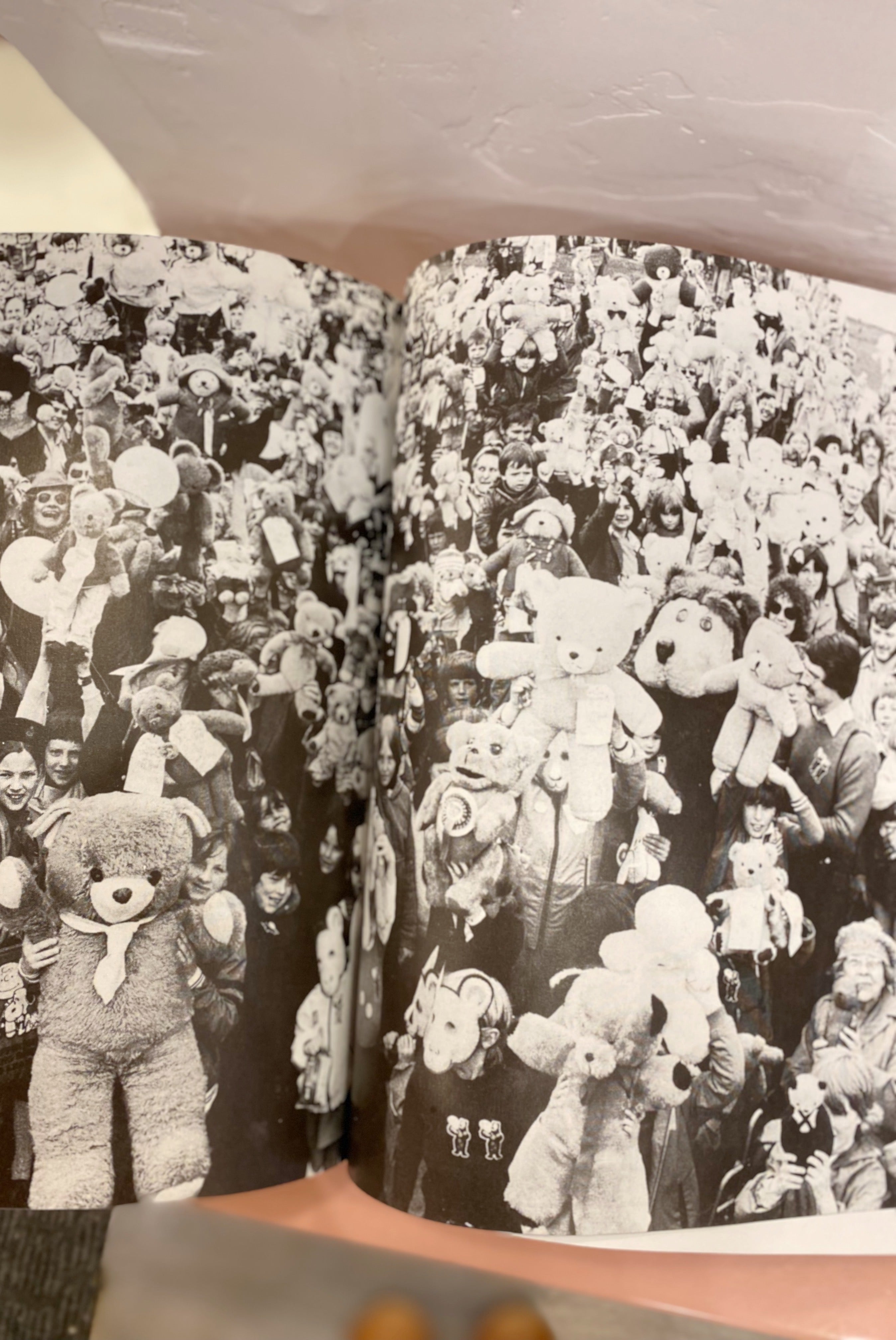 Teddy Bear Book