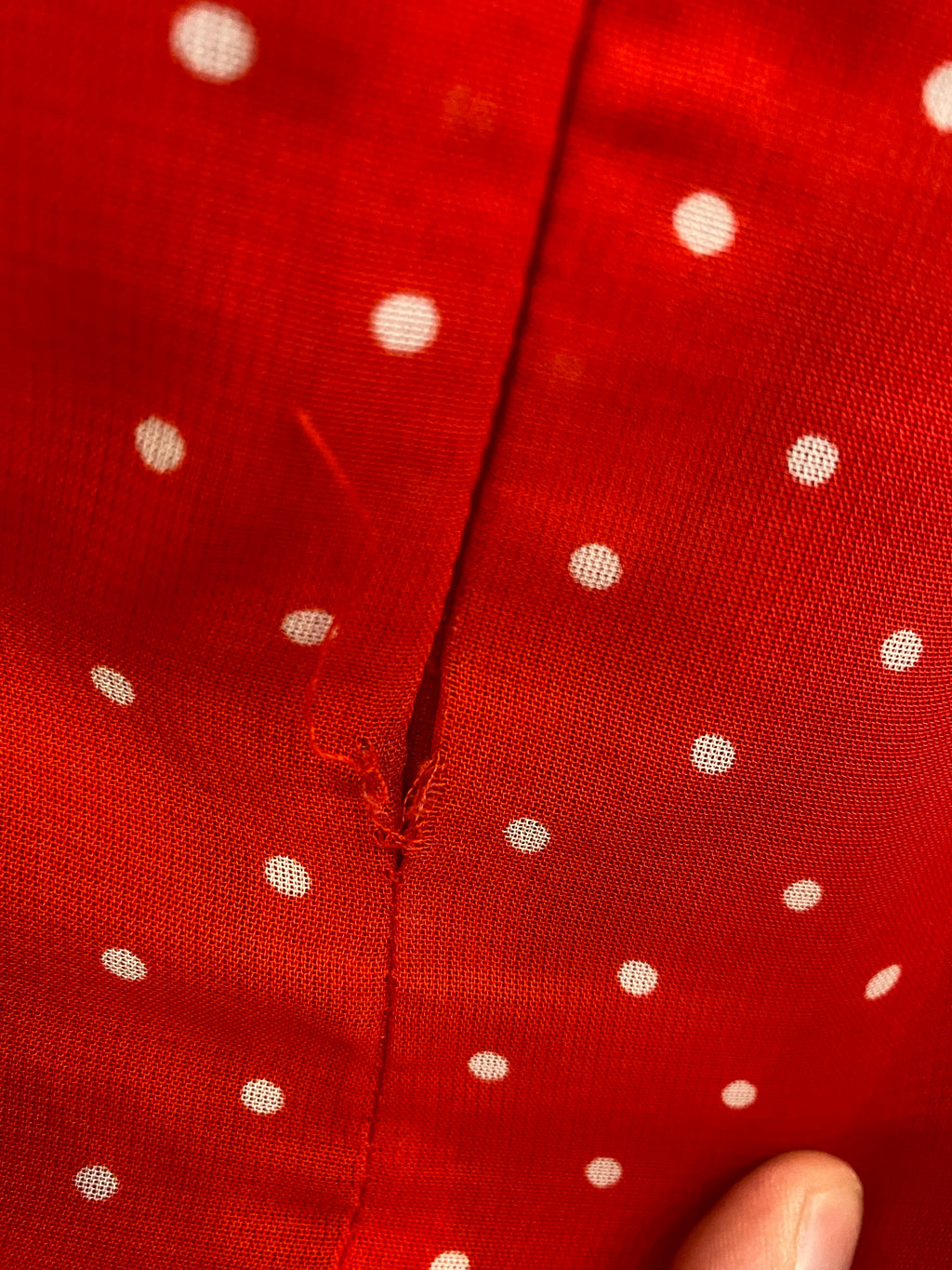 Polka Dot Skirt