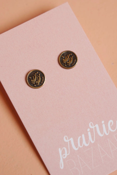 Zodiac Earrings