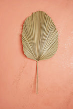 Natural Palm Leaves